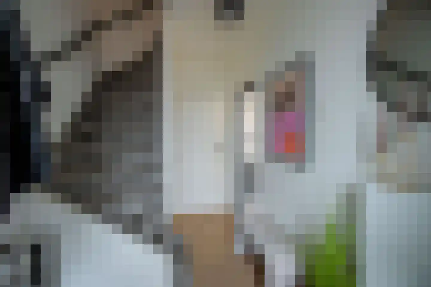 Beatrixstraat 5 Berkel en Rodenrijs thumbnail 22