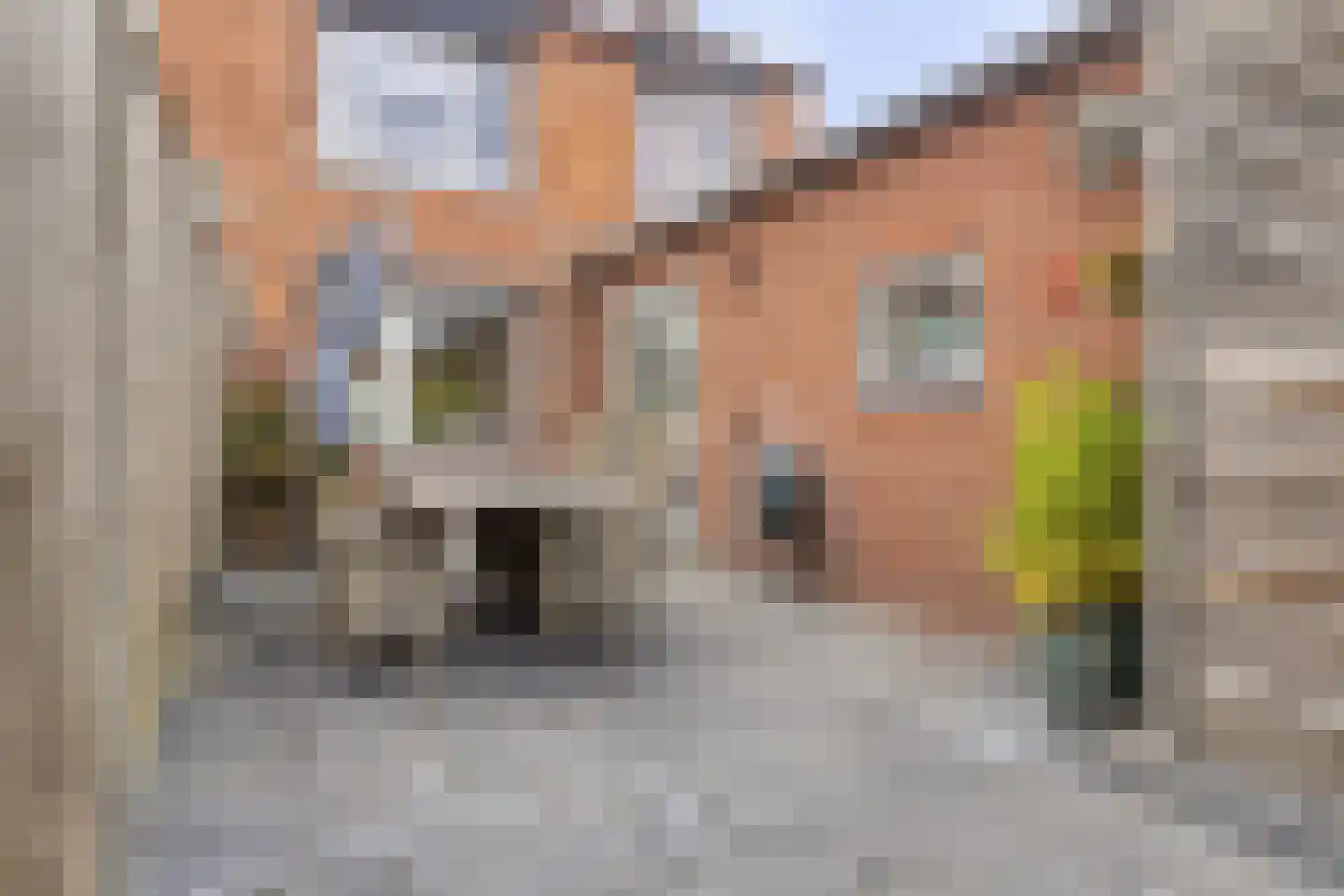 Beatrixstraat 5 Clinge thumbnail 21