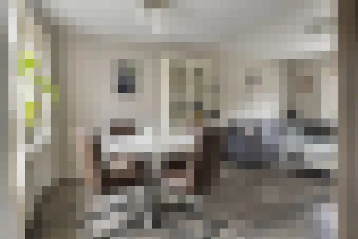 Beatrixstraat 5 Clinge thumbnail 7