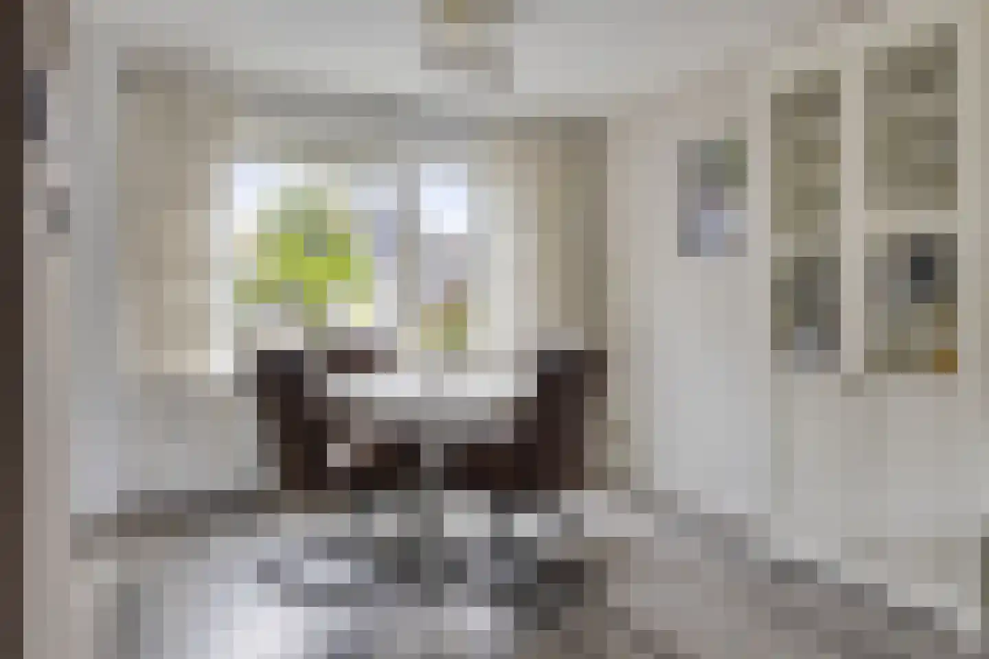 Beatrixstraat 5 Clinge thumbnail 8