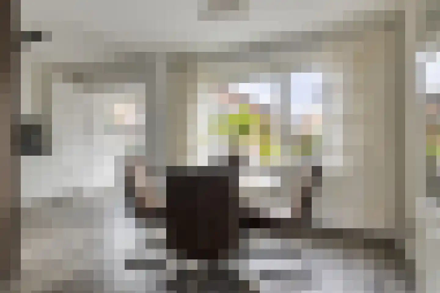 Beatrixstraat 5 Clinge thumbnail 9
