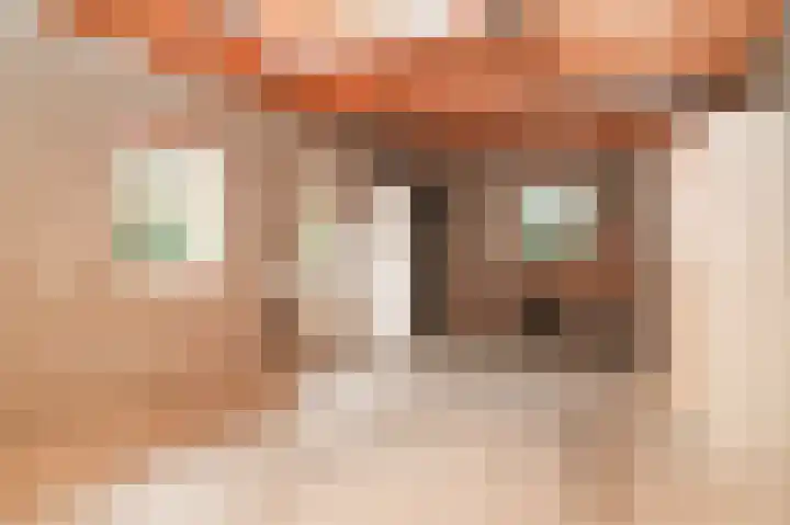 Beatrixstraat 50 Beneden-Leeuwen thumbnail 39