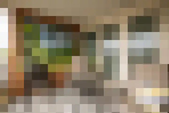 Beatrixstraat 55 Halfweg thumbnail 28