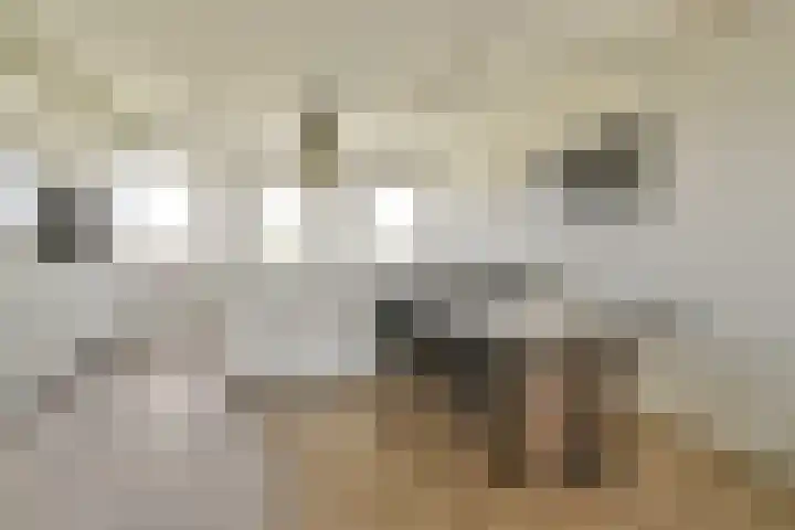 Beatrixstraat 55 Halfweg thumbnail 44