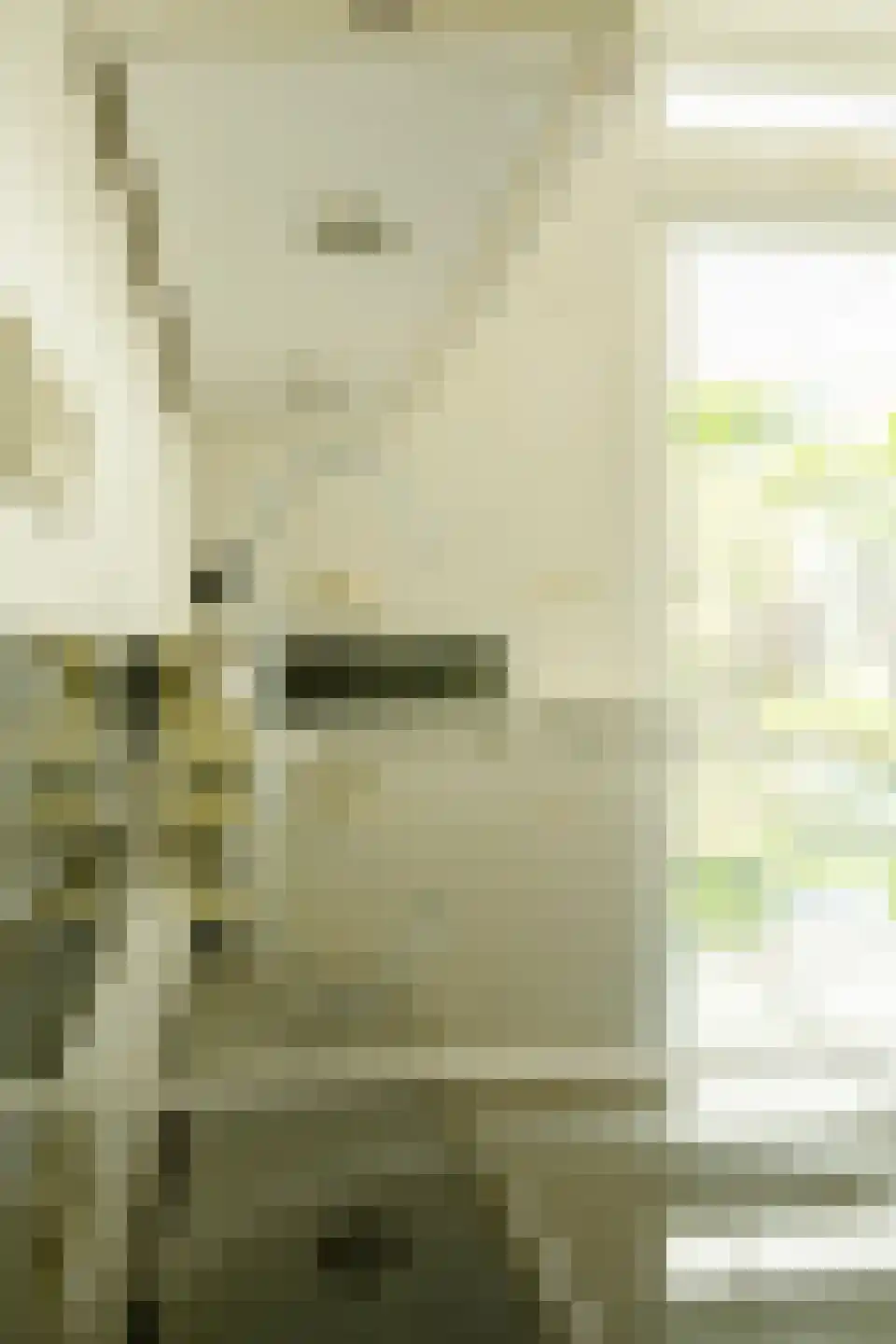 Beatrixstraat 57 Cadier en Keer thumbnail 24