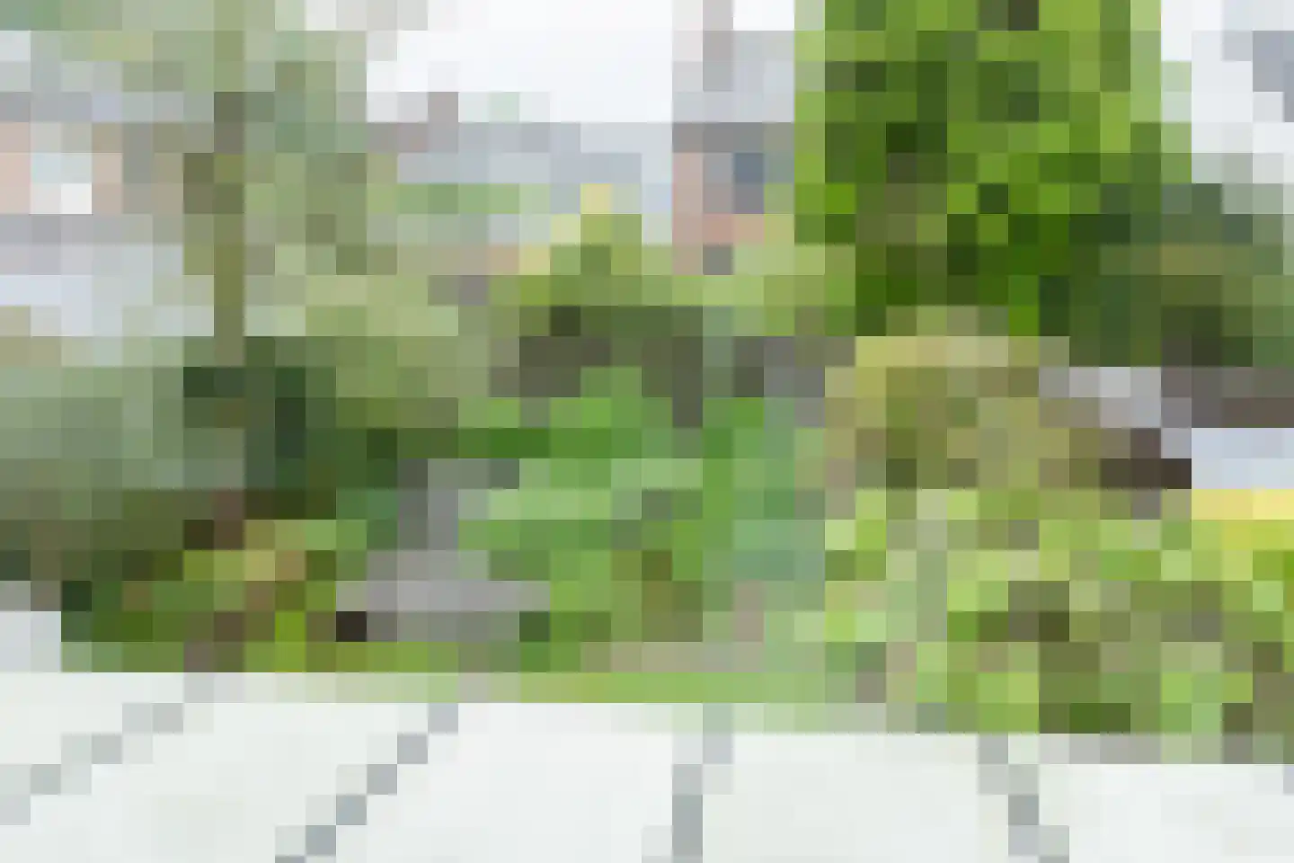Beatrixstraat 57 Cadier en Keer thumbnail 45