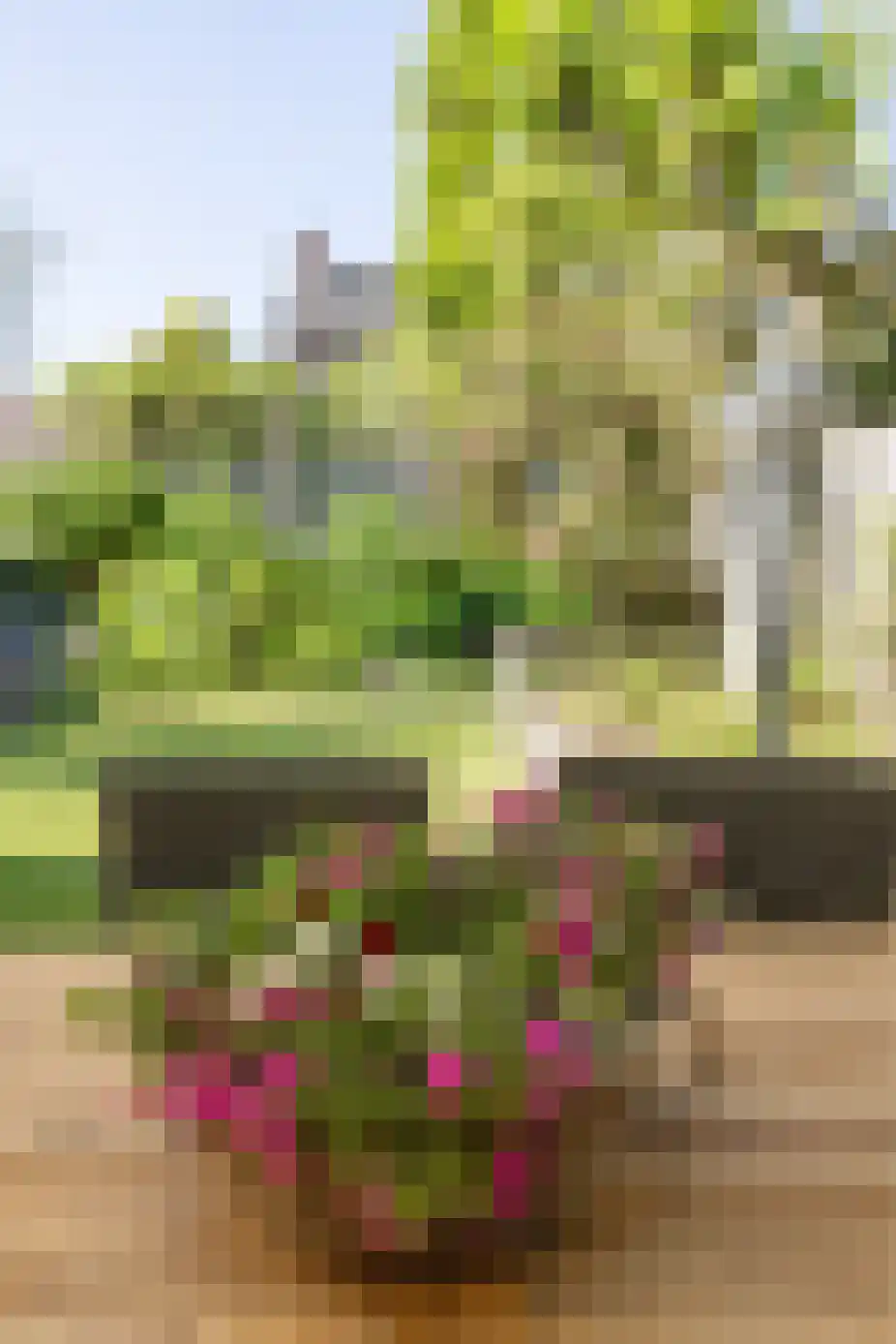 Beatrixstraat 57 Cadier en Keer thumbnail 71