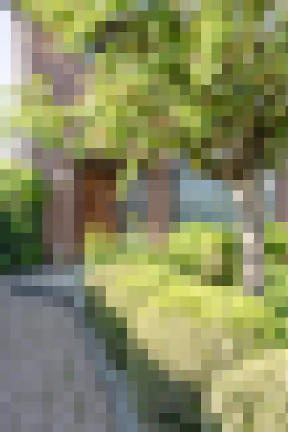Beatrixstraat 57 Cadier en Keer thumbnail 74