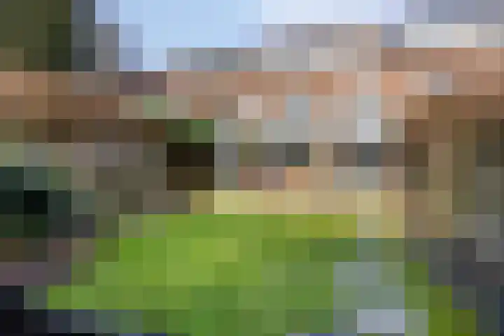 Beatrixstraat 6 Arnhem thumbnail 41