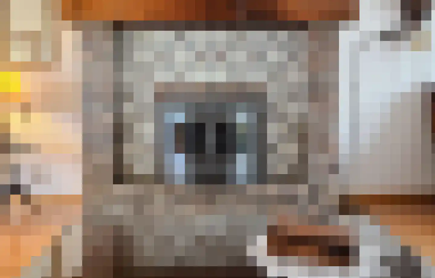 Beatrixstraat 6 Cadier en Keer thumbnail 19