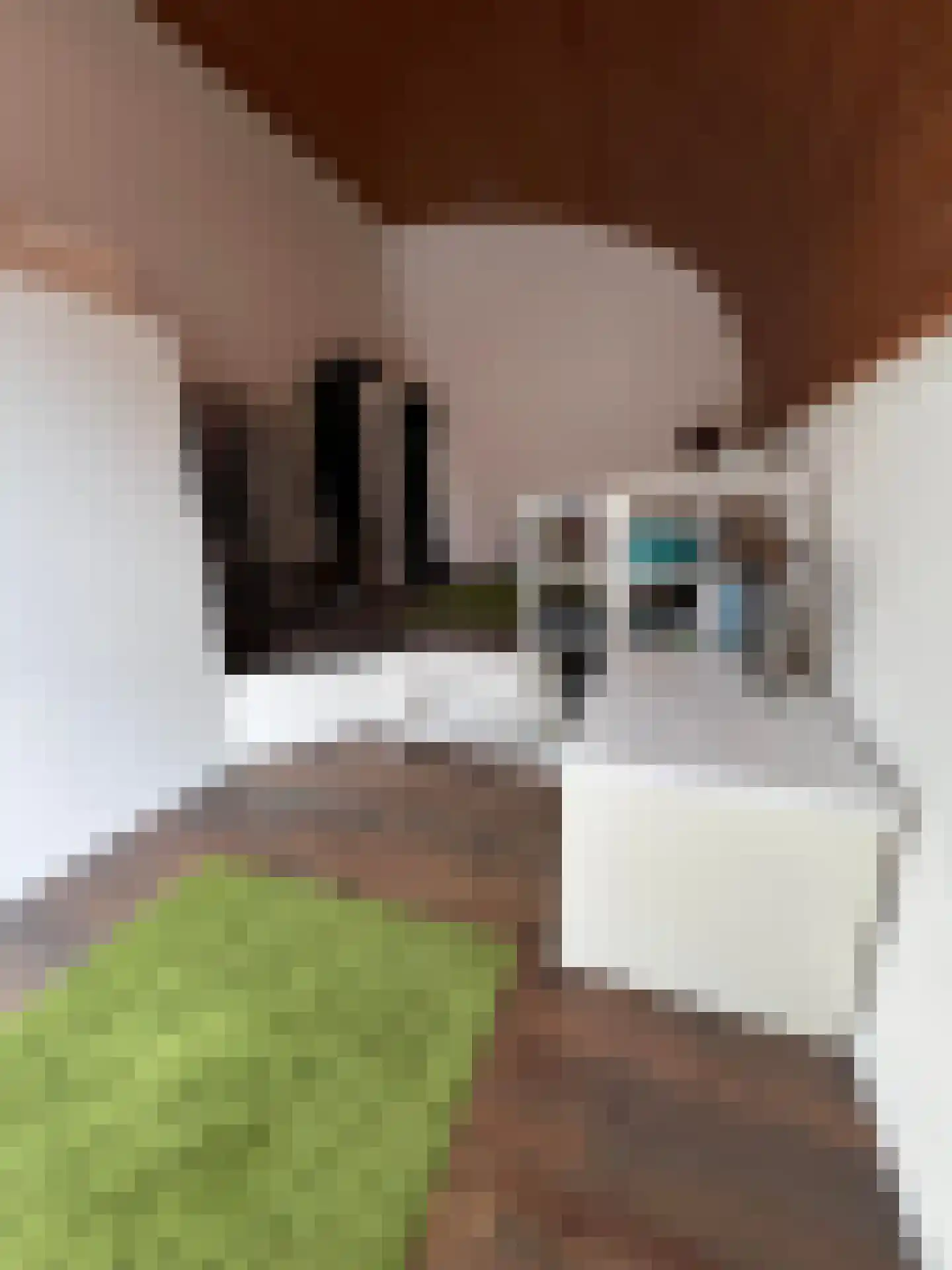 Beatrixstraat 6 Colijnsplaat thumbnail 13