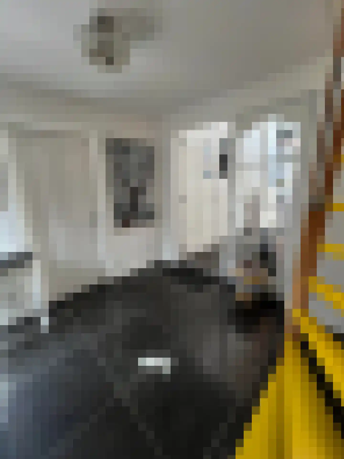 Beatrixstraat 6 Colijnsplaat thumbnail 16