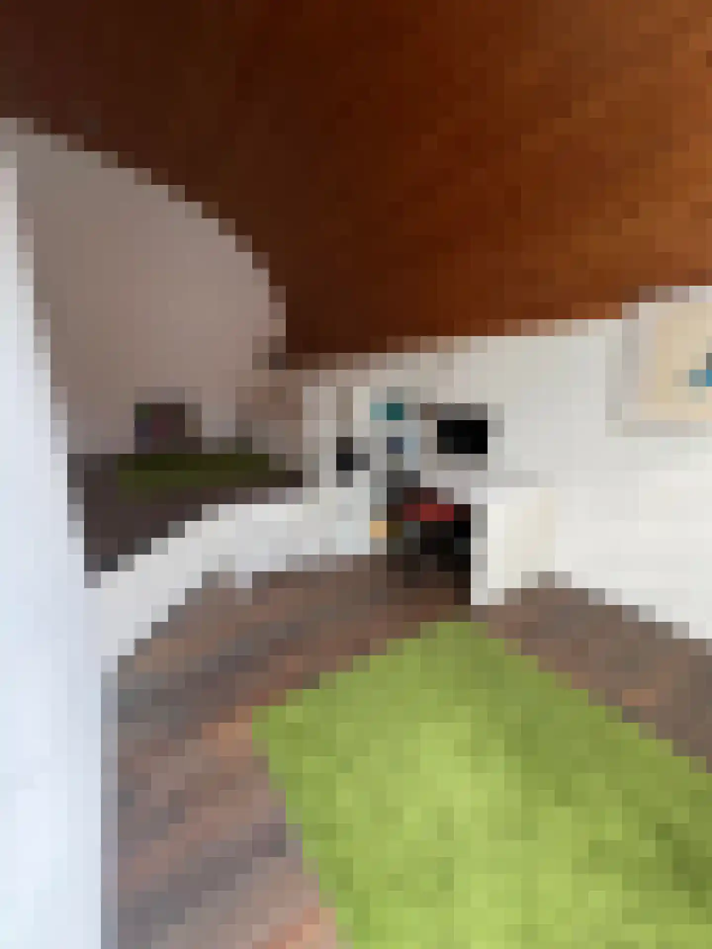 Beatrixstraat 6 Colijnsplaat thumbnail 20