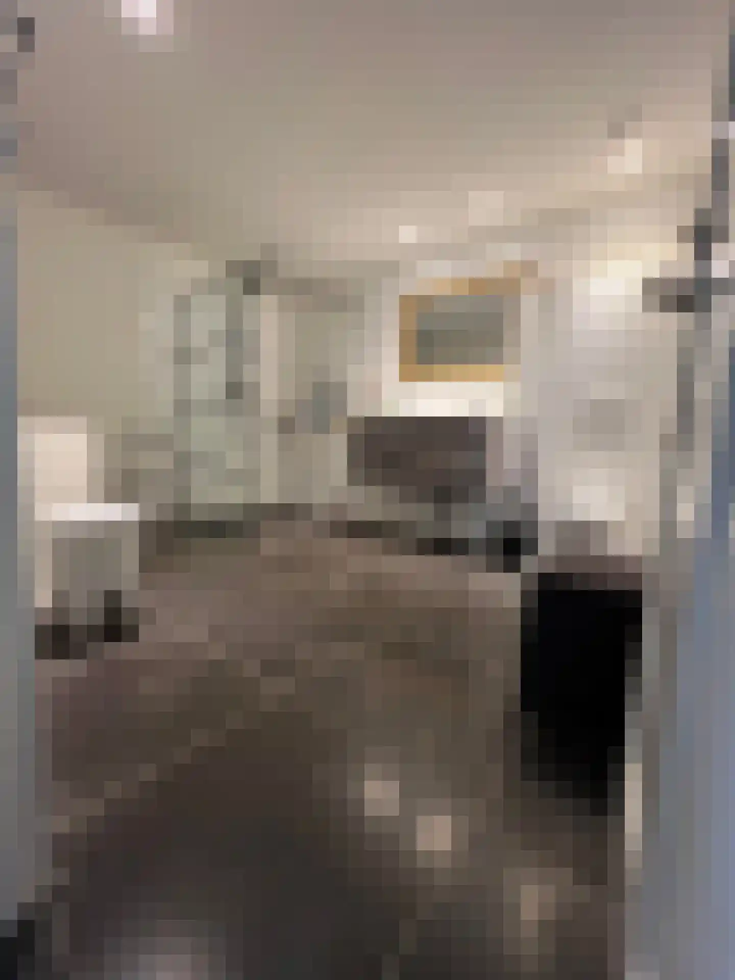 Beatrixstraat 6 Colijnsplaat thumbnail 22