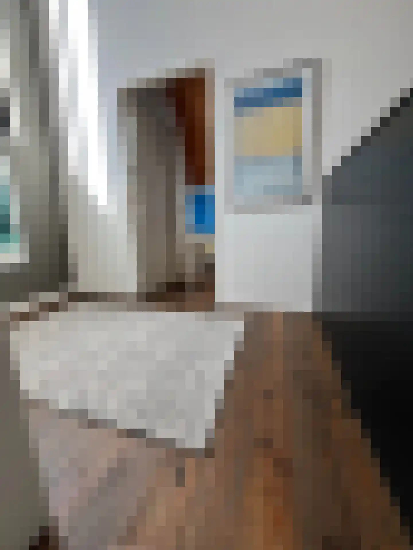 Beatrixstraat 6 Colijnsplaat thumbnail 25