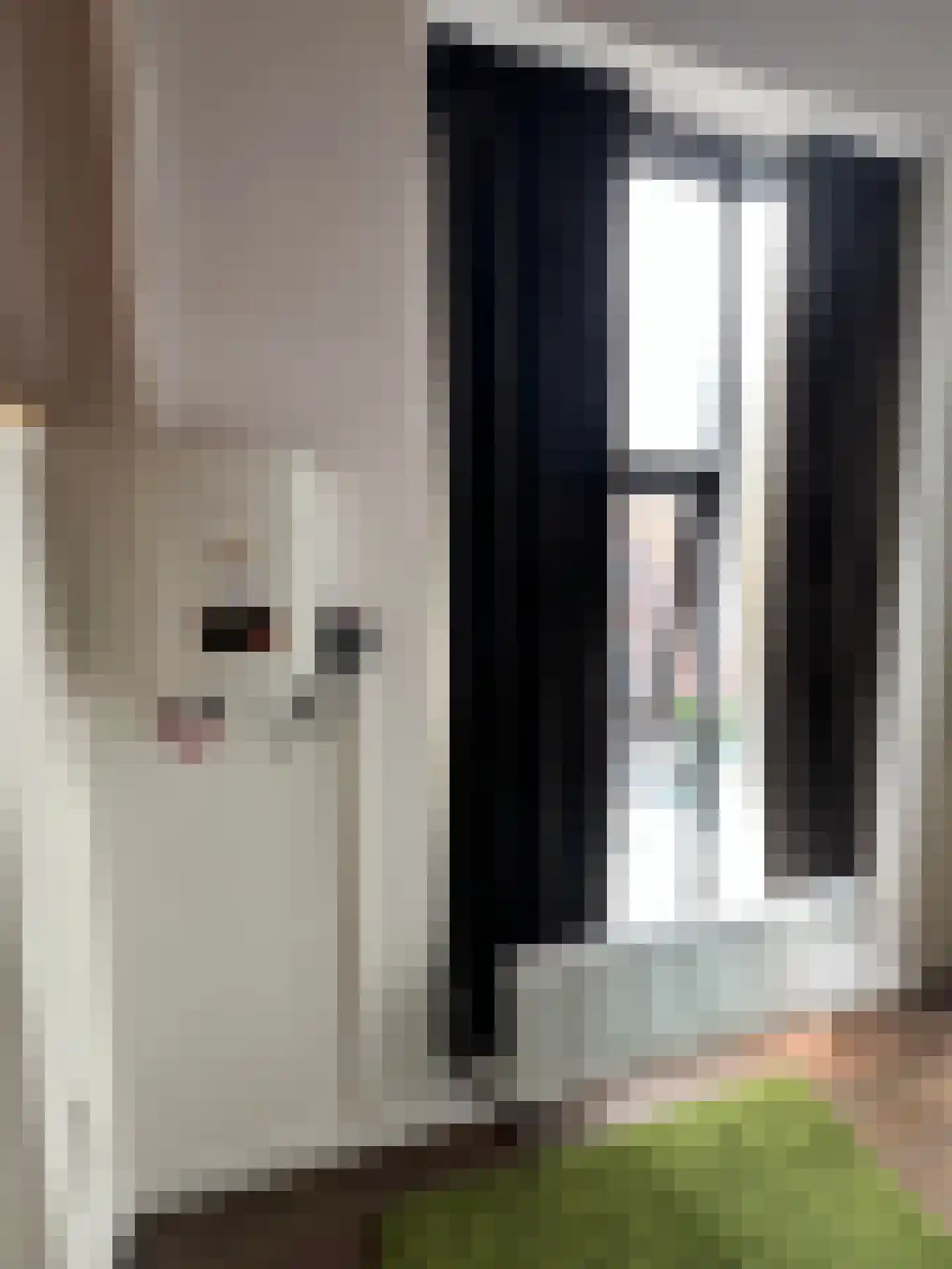 Beatrixstraat 6 Colijnsplaat thumbnail 26