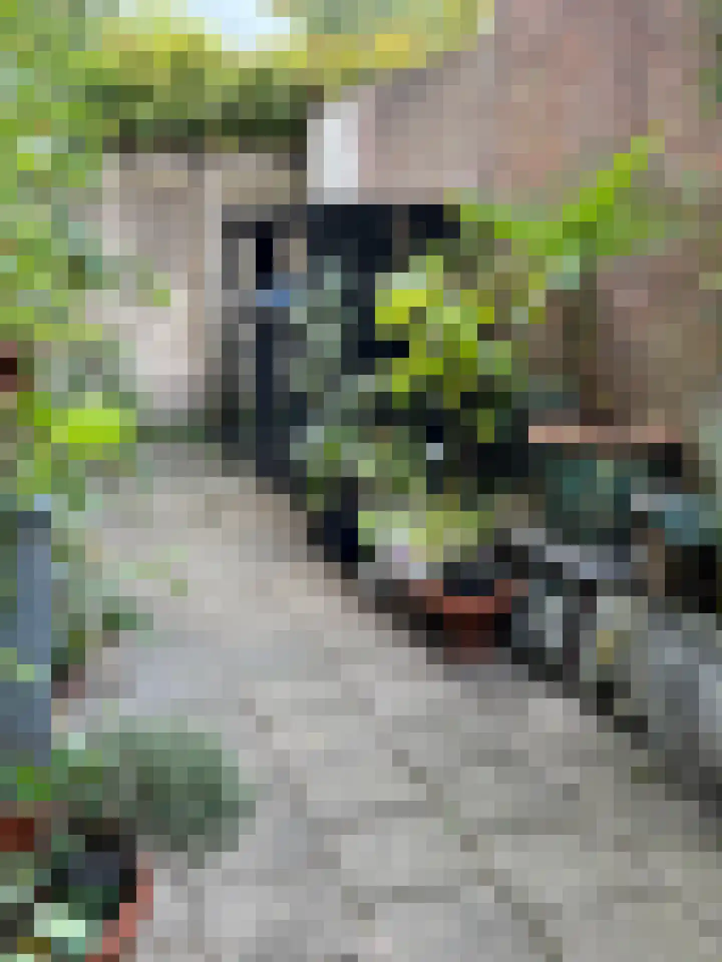 Beatrixstraat 6 Colijnsplaat thumbnail 31