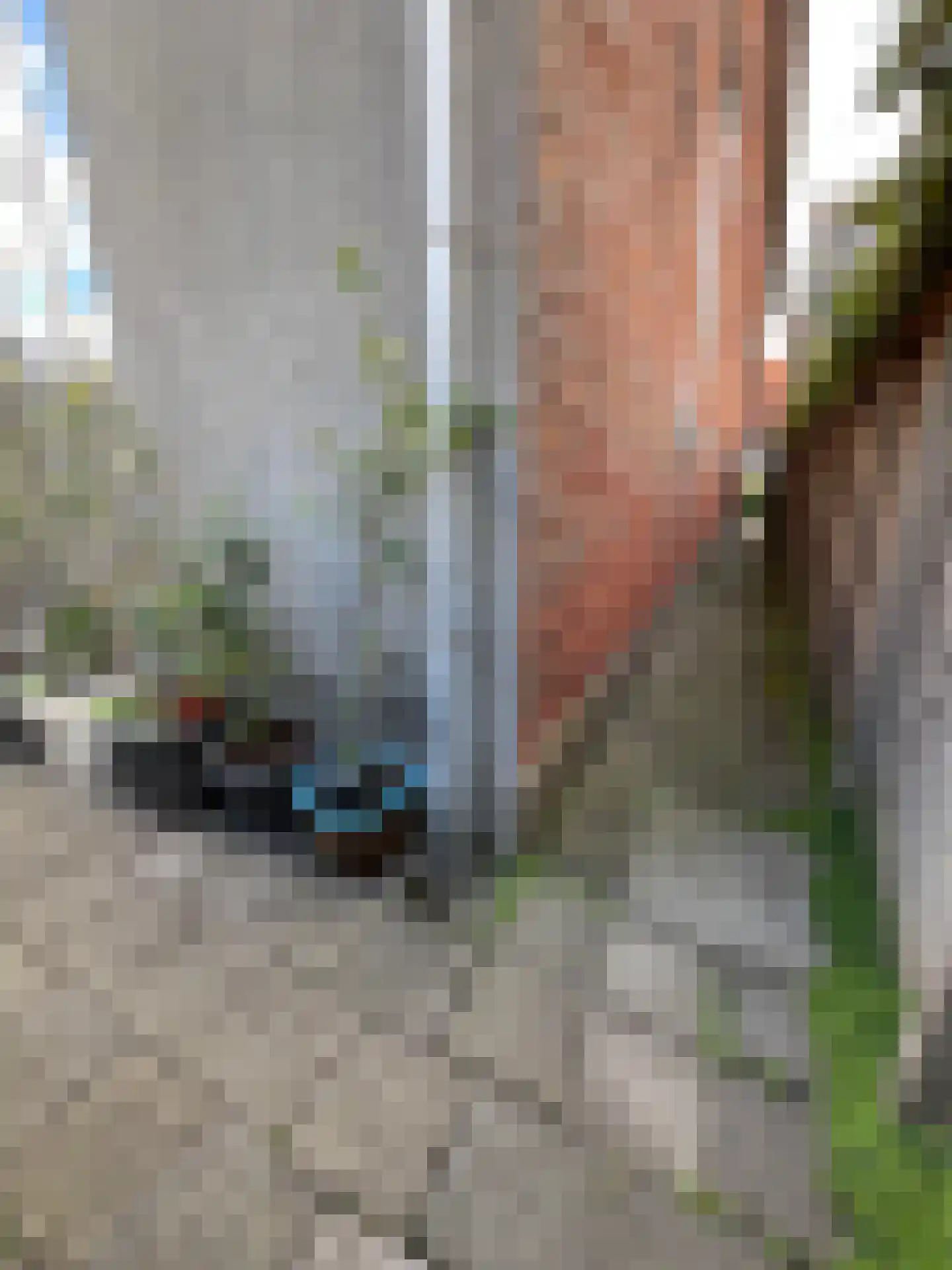 Beatrixstraat 6 Colijnsplaat thumbnail 34