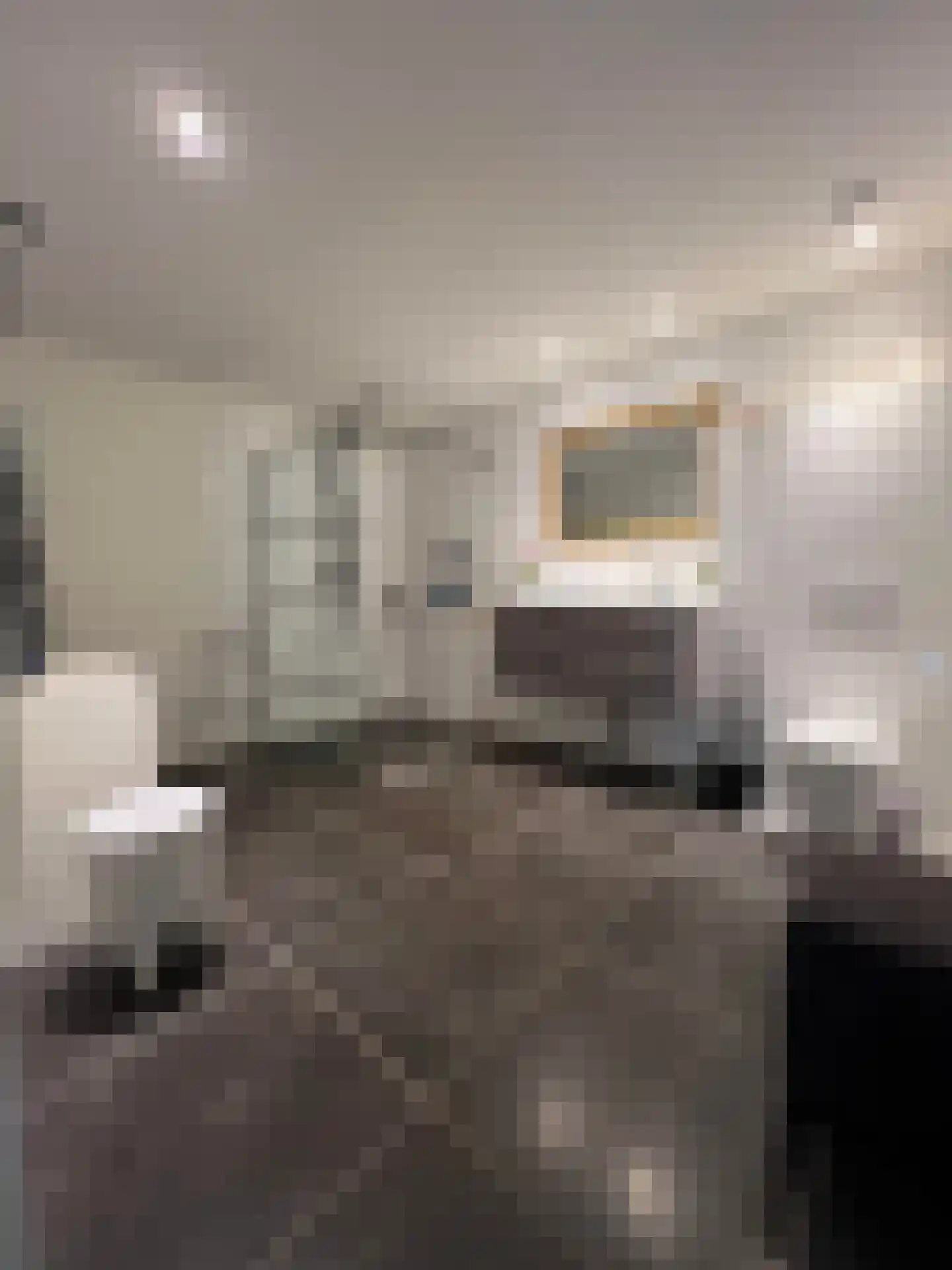 Beatrixstraat 6 Colijnsplaat thumbnail 5