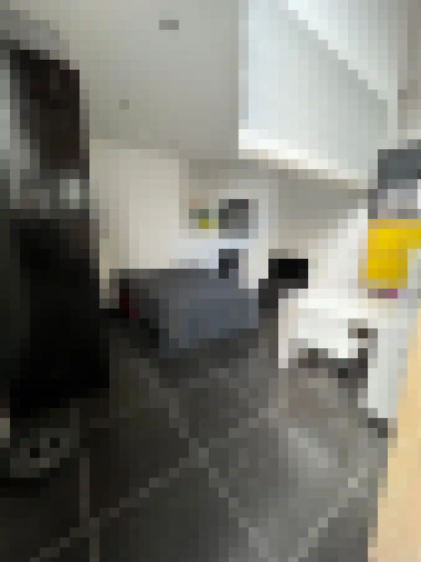 Beatrixstraat 6 Colijnsplaat thumbnail 6