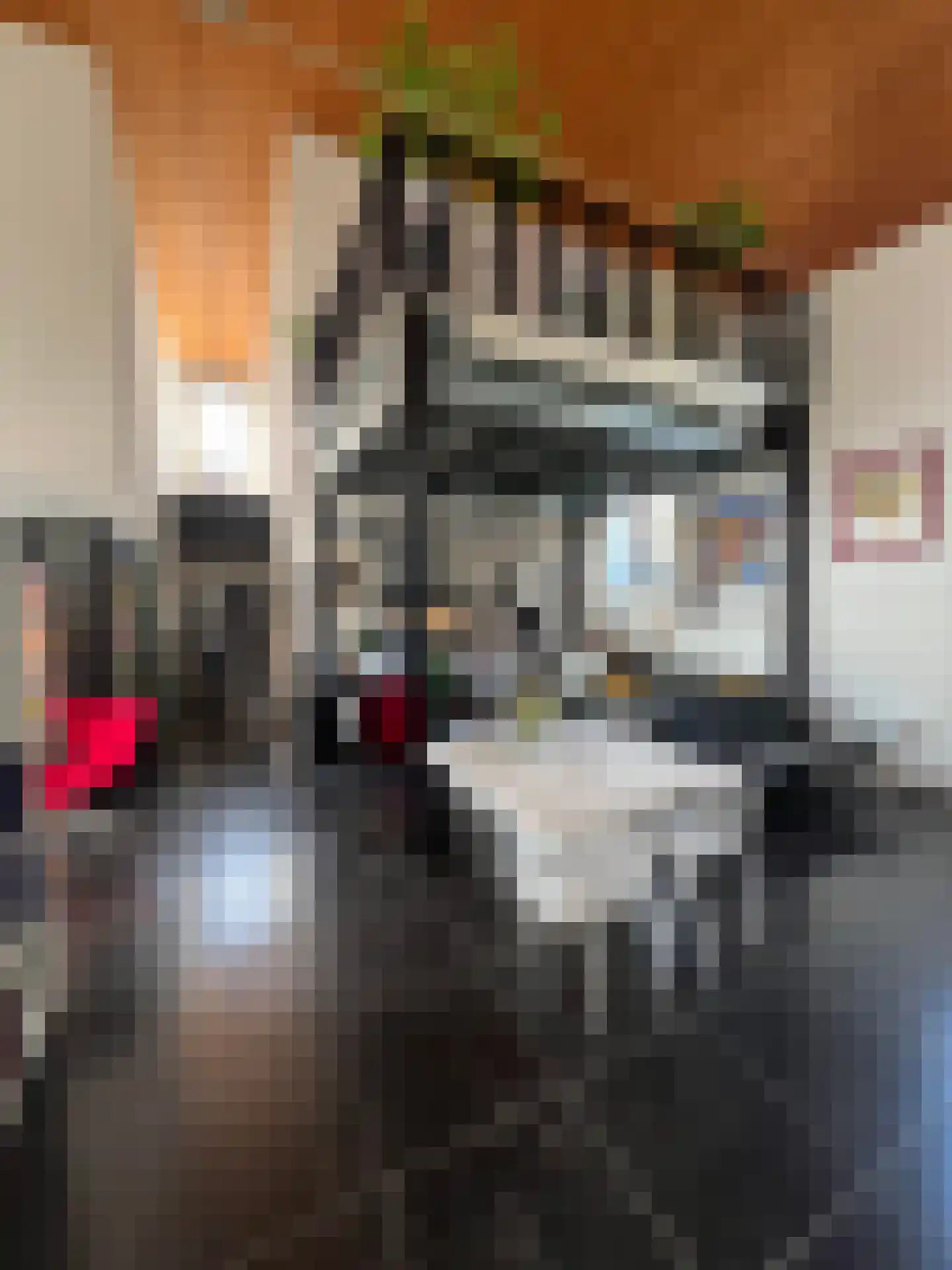 Beatrixstraat 6 Colijnsplaat thumbnail 7