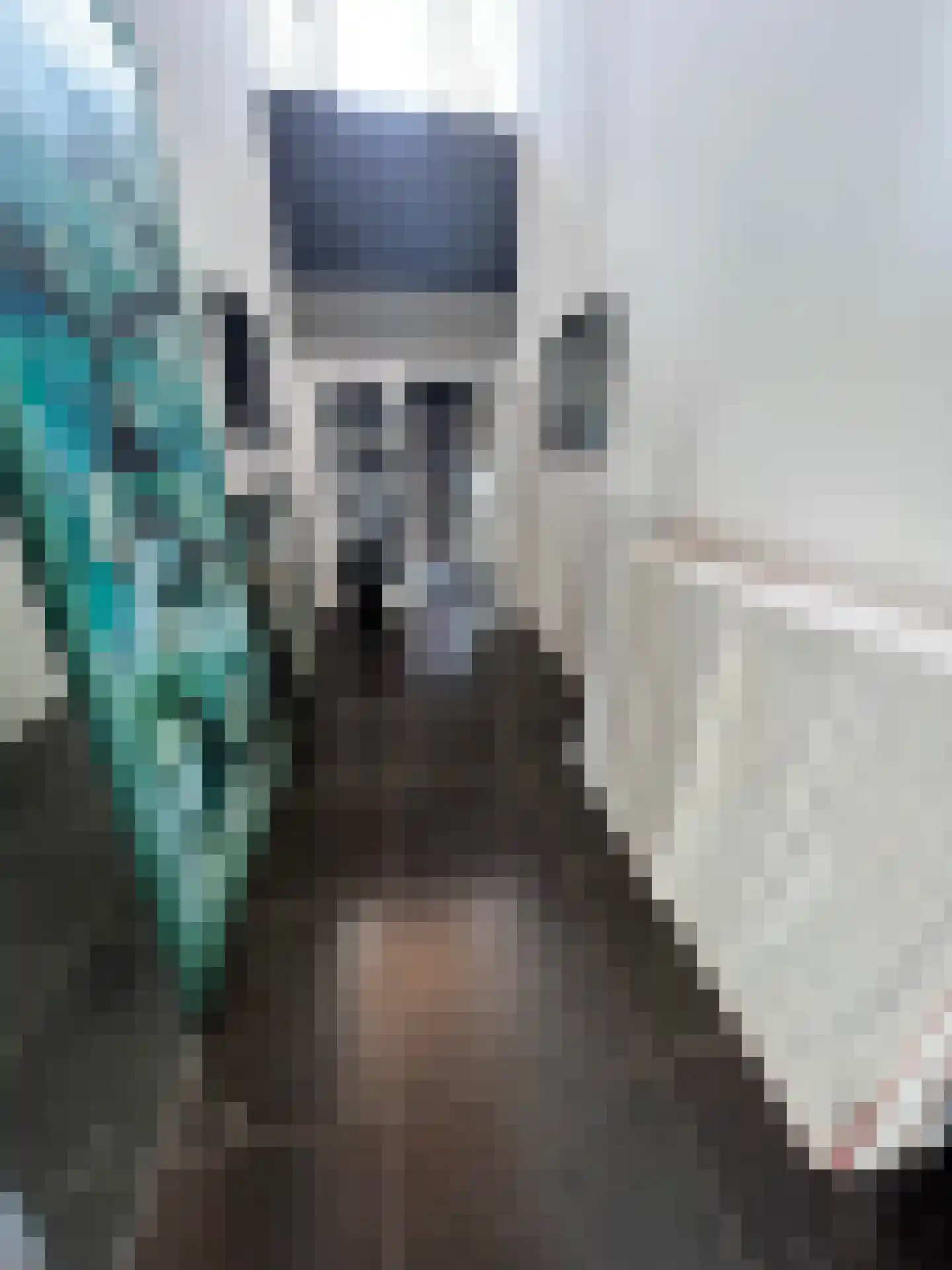 Beatrixstraat 6 Colijnsplaat thumbnail 8
