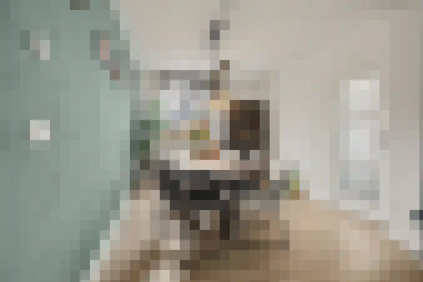 Beatrixstraat 6 Grubbenvorst thumbnail 10