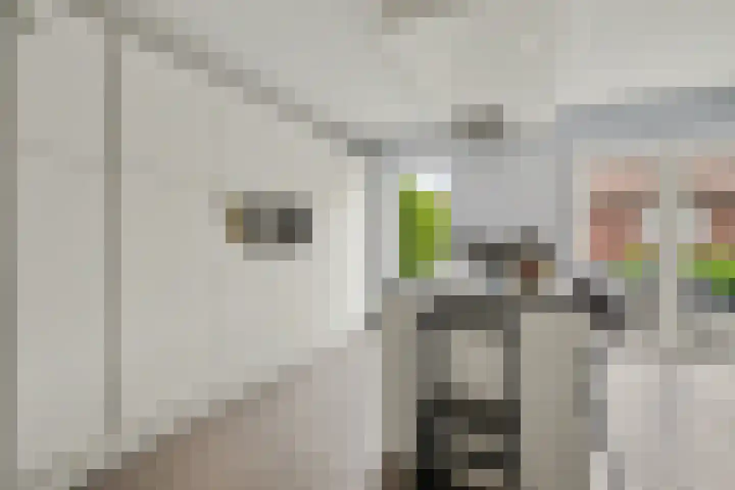 Beatrixstraat 6 Grubbenvorst thumbnail 12