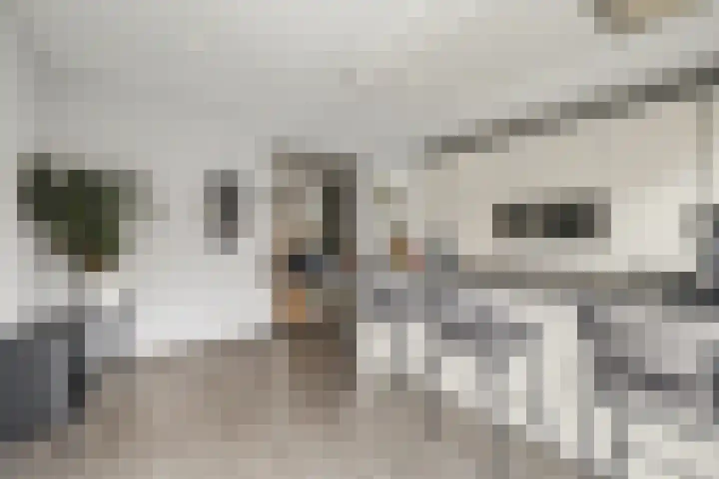 Beatrixstraat 6 Grubbenvorst thumbnail 15
