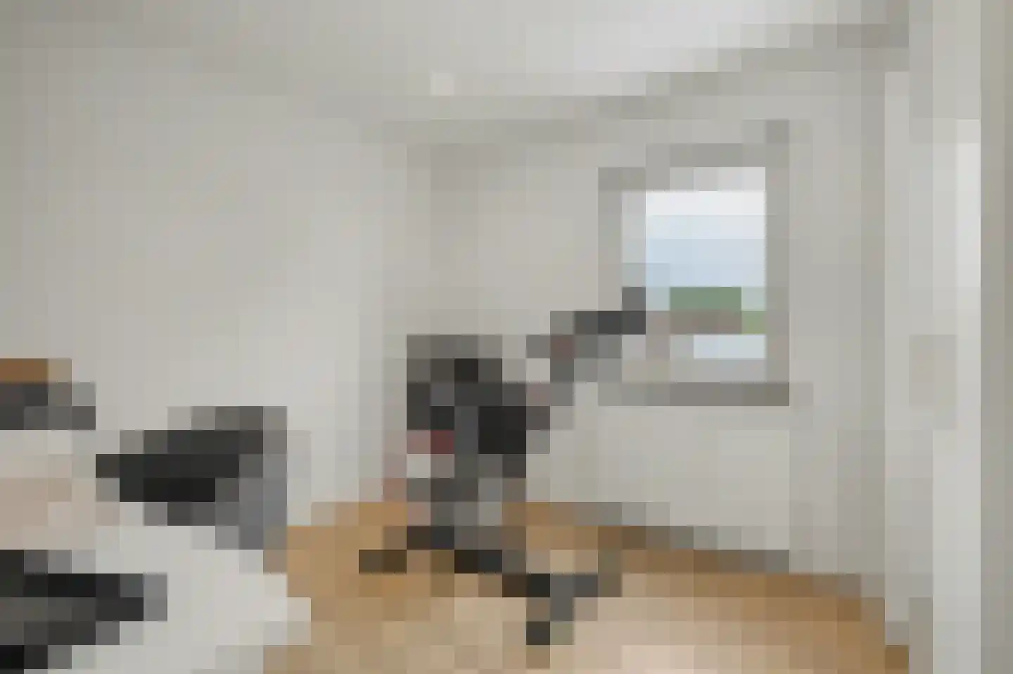 Beatrixstraat 6 Grubbenvorst thumbnail 18