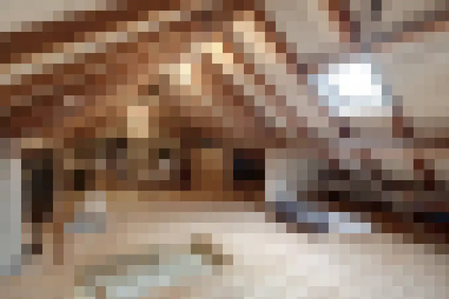 Beatrixstraat 6 Grubbenvorst thumbnail 25