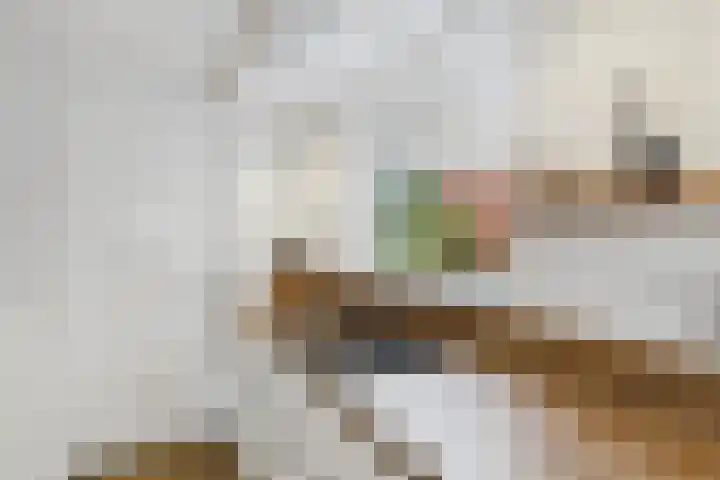 Beatrixstraat 6 Kloosterzande thumbnail 18