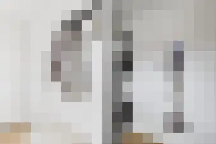 Beatrixstraat 6 Kloosterzande thumbnail 23