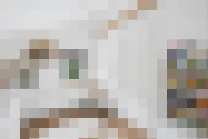 Beatrixstraat 6 Kloosterzande thumbnail 33