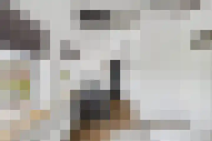 Beatrixstraat 6 Kloosterzande thumbnail 37
