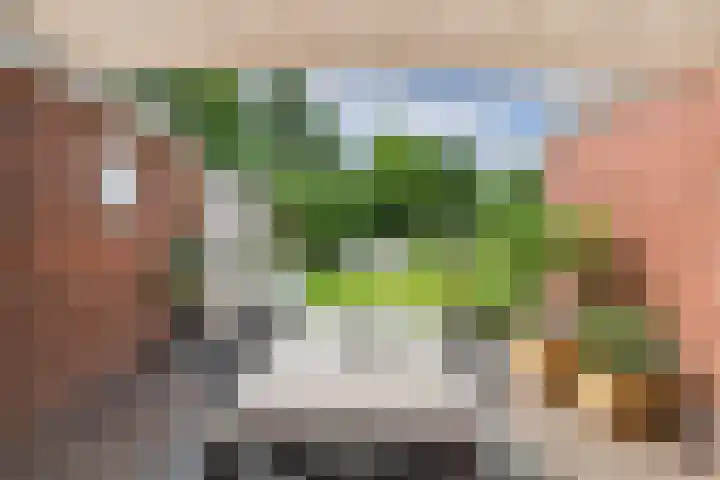 Beatrixstraat 6 Kloosterzande thumbnail 41