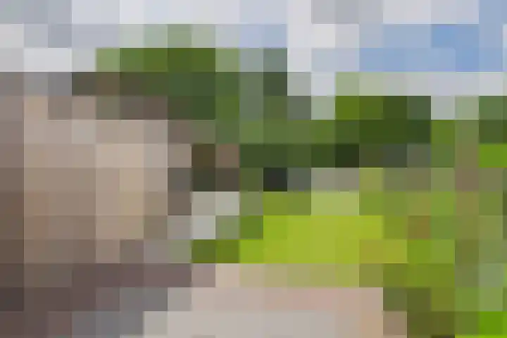 Beatrixstraat 6 Kloosterzande thumbnail 42