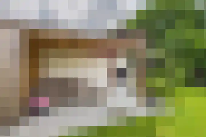 Beatrixstraat 6 Kloosterzande thumbnail 43