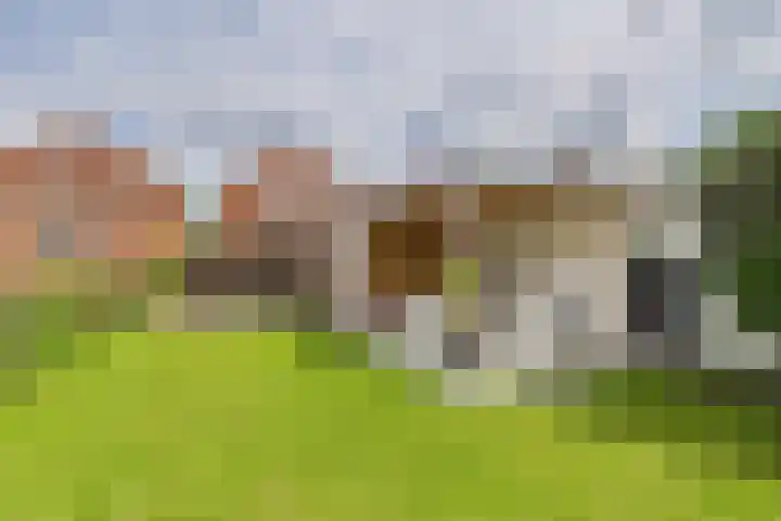 Beatrixstraat 6 Kloosterzande thumbnail 44