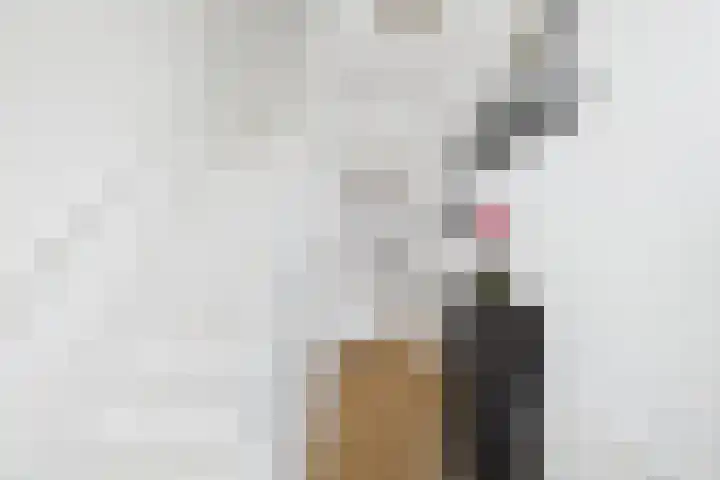 Beatrixstraat 6 Kloosterzande thumbnail 8