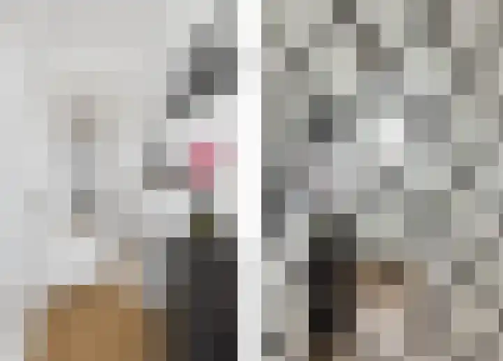 Beatrixstraat 6 Kloosterzande thumbnail 9