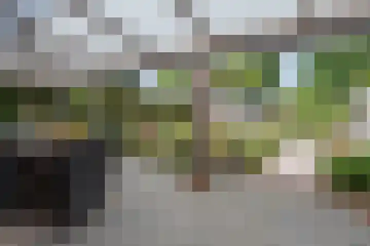 Beatrixstraat 6 Meerlo thumbnail 37