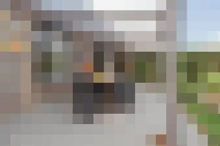 Beatrixstraat 6 Meerlo thumbnail 38