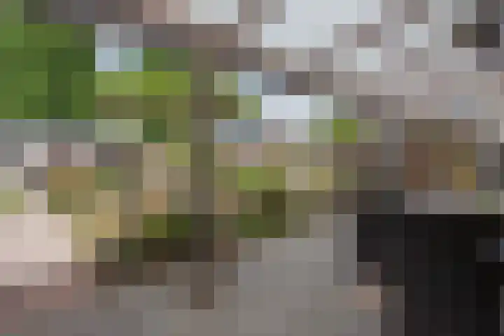 Beatrixstraat 6 Meerlo thumbnail 39