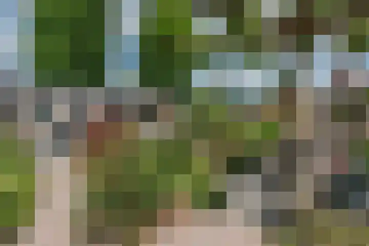 Beatrixstraat 6 Meerlo thumbnail 41