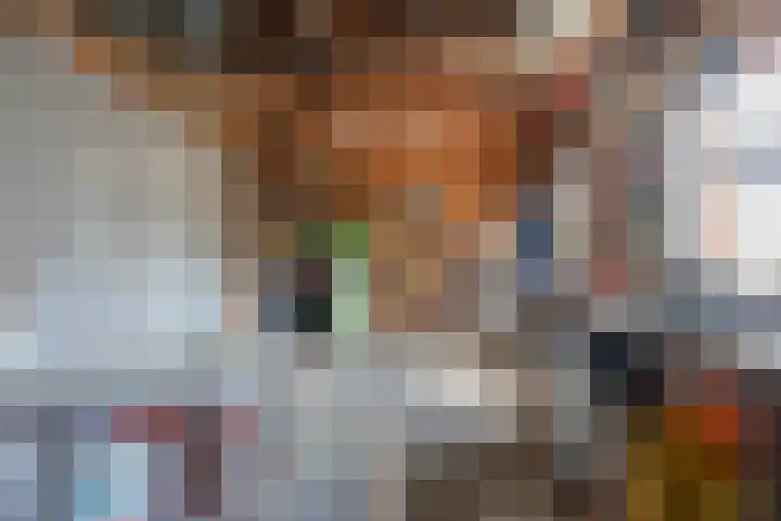 Beatrixstraat 6 Meerlo thumbnail 44