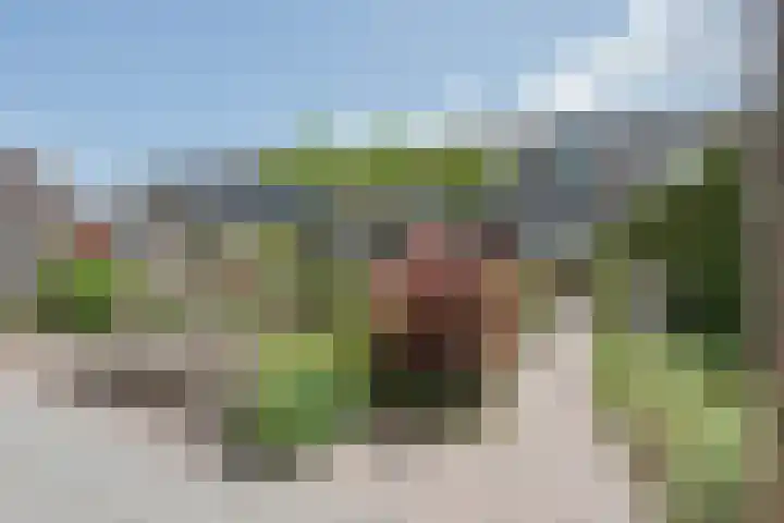 Beatrixstraat 6 Meerlo thumbnail 45