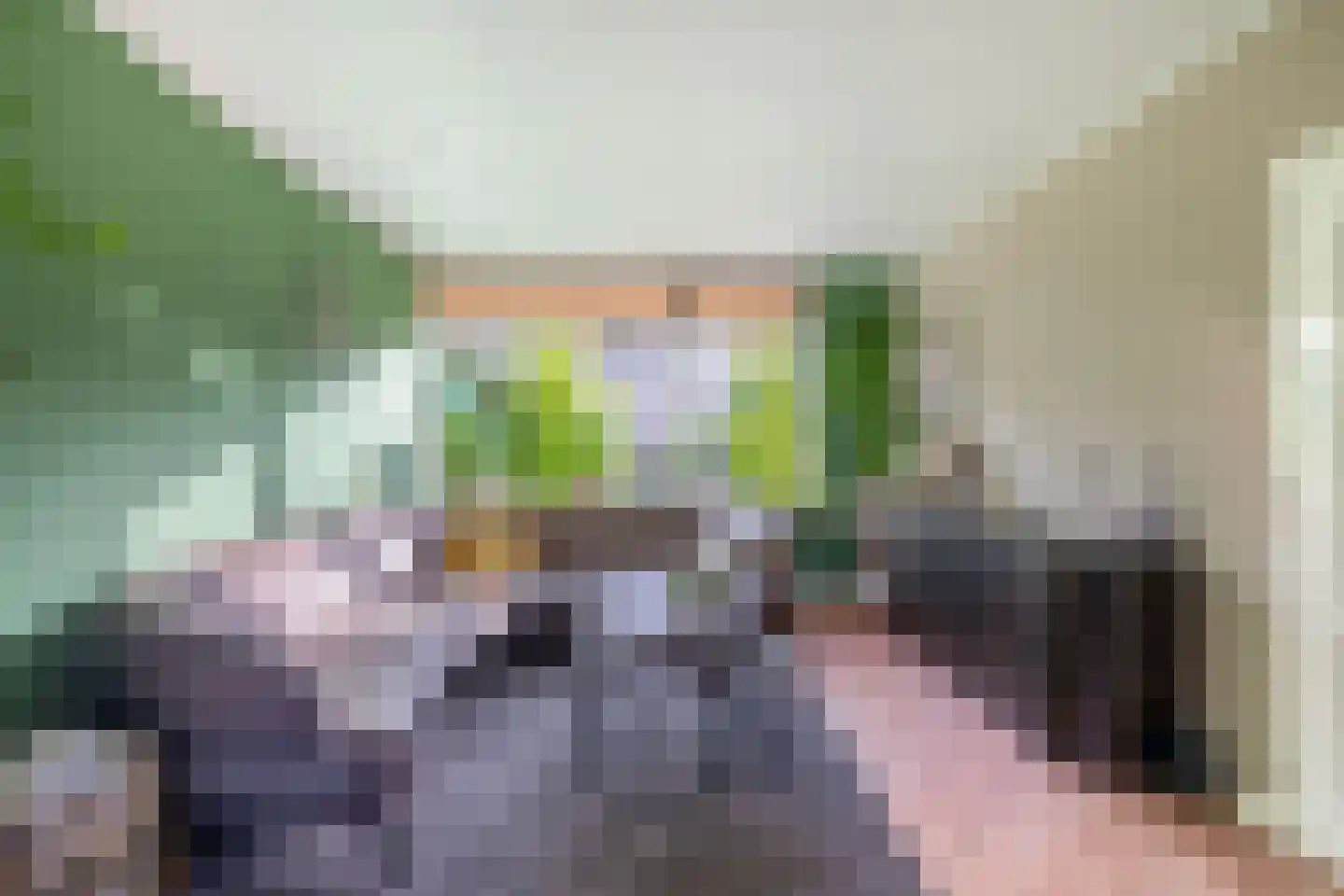 Beatrixstraat 6 Nieuw-Beijerland thumbnail 11