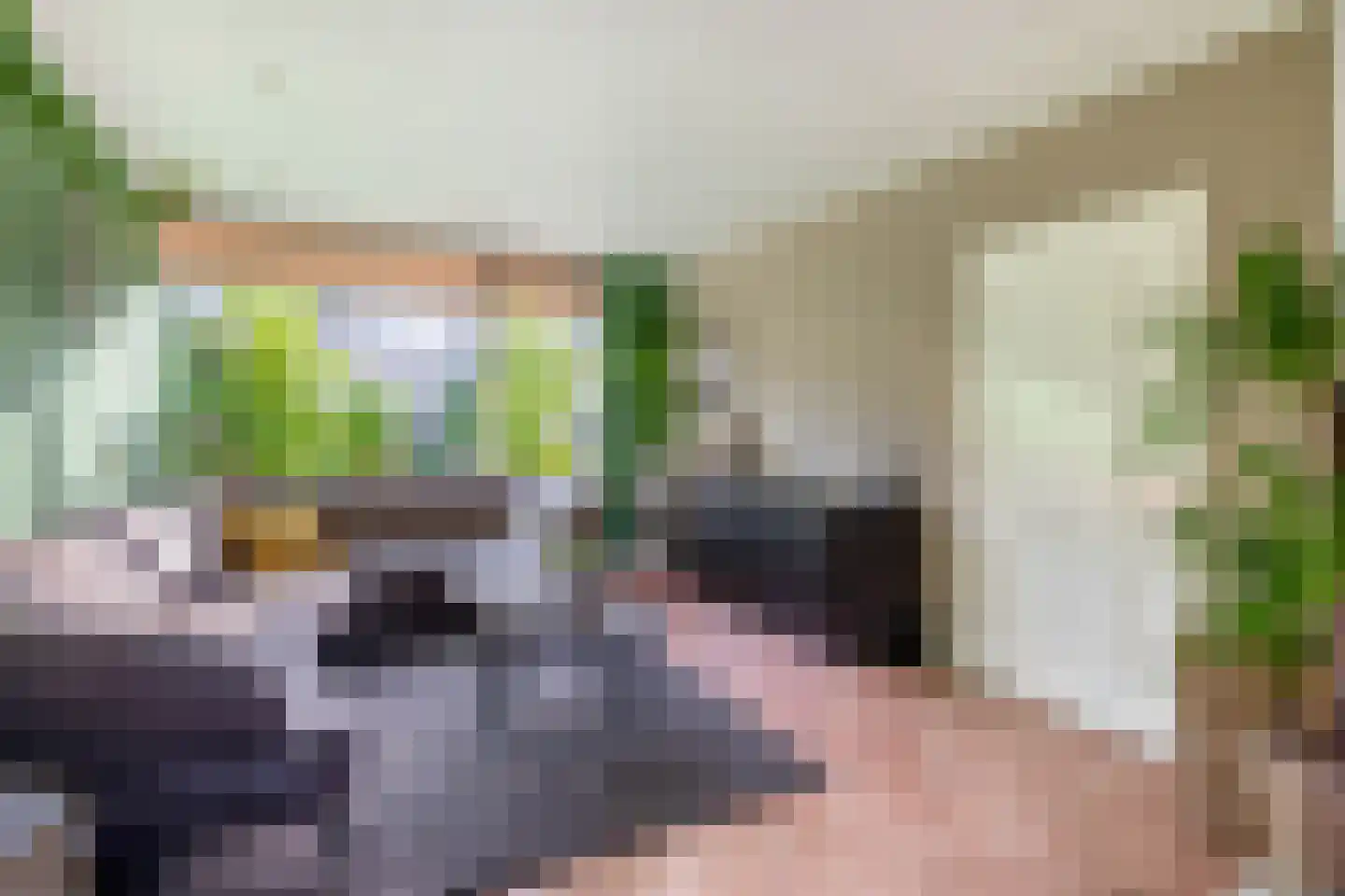 Beatrixstraat 6 Nieuw-Beijerland thumbnail 12