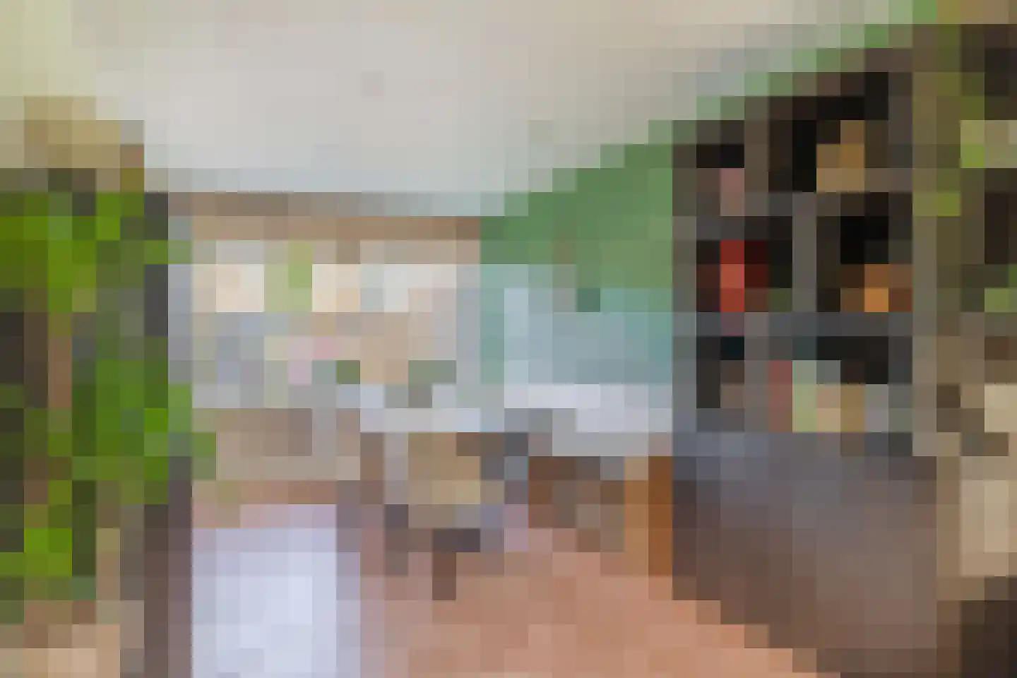 Beatrixstraat 6 Nieuw-Beijerland thumbnail 15